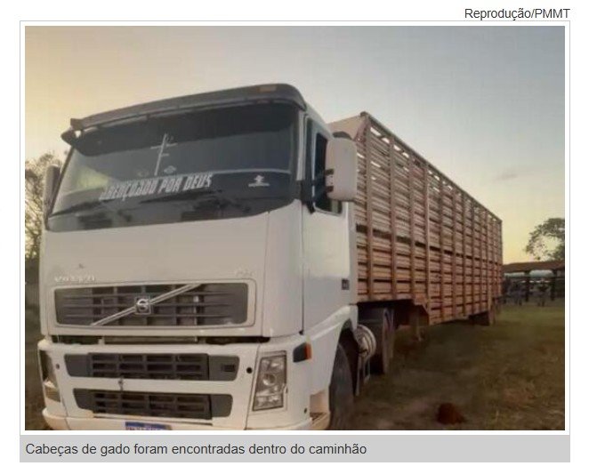 Quadrilha mantém três reféns em fazenda e rouba mais de 100 cabeças de gado