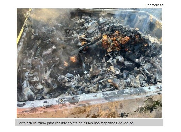 Bandidos roubam Saveiro carregada com ossada de animais e ateiam fogo