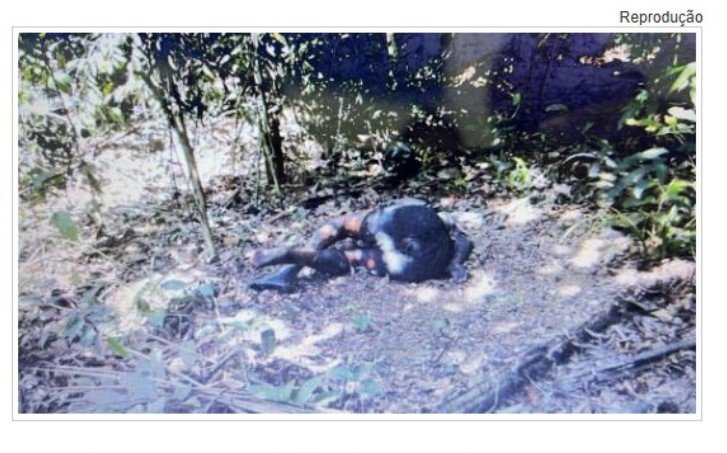 Corpo encontrado com sinais de tortura em área de mata em Sinop é identificado