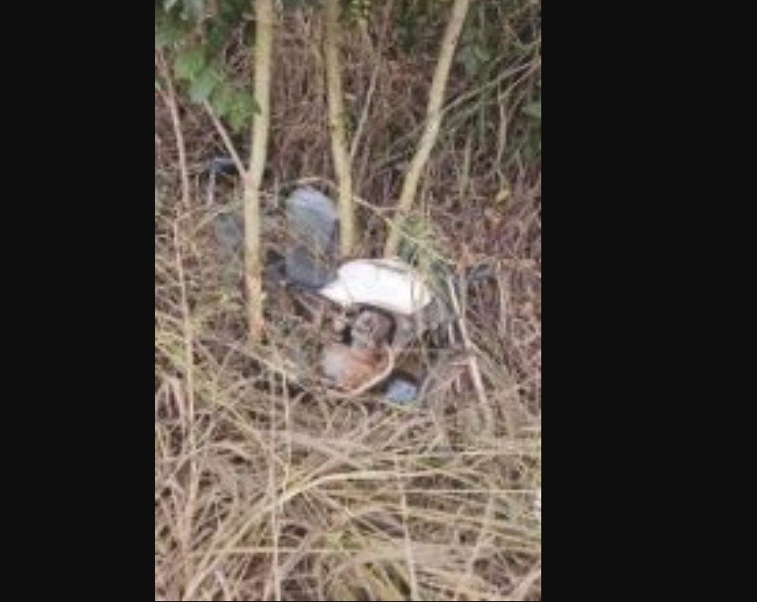 Caminhonte patrola moto e mata trabalhador em rodovia de cidade de MT.