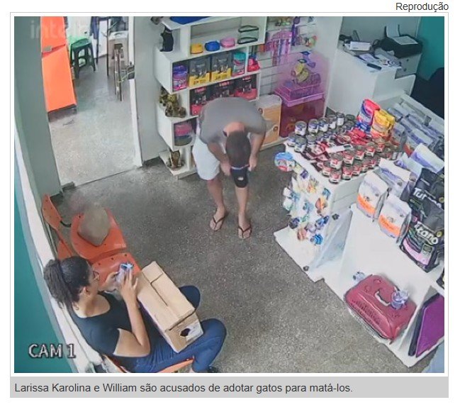 Vídeo mostra mulher trans e namorado indiciados por maus-tratos adotando gato
