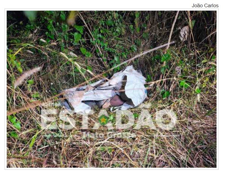 Dois corpos são encontrados dentro de saco de areia na mata de bairro da capital.