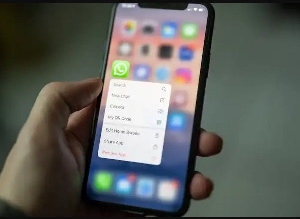 Cade informa que pagamentos via WhatsApp são autorizados, sem favorecimento do Pix