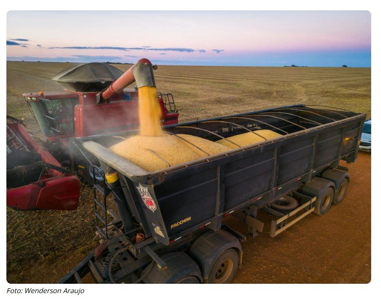 Crise no Agro: produtores afundam em dívidas e Banco do Brasil corta crédito e aciona a Justiça