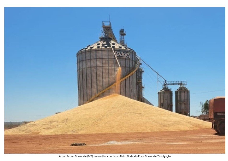 A céu aberto: produtores de MT não têm onde guardar o milho