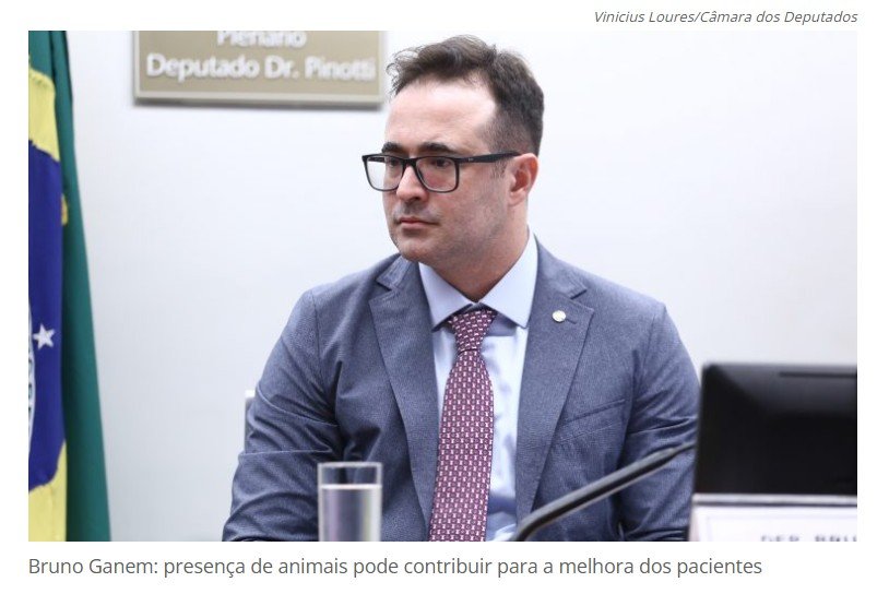 Comissão aprova permissão para entrada de animais domésticos em hospitais para visitar pacientes