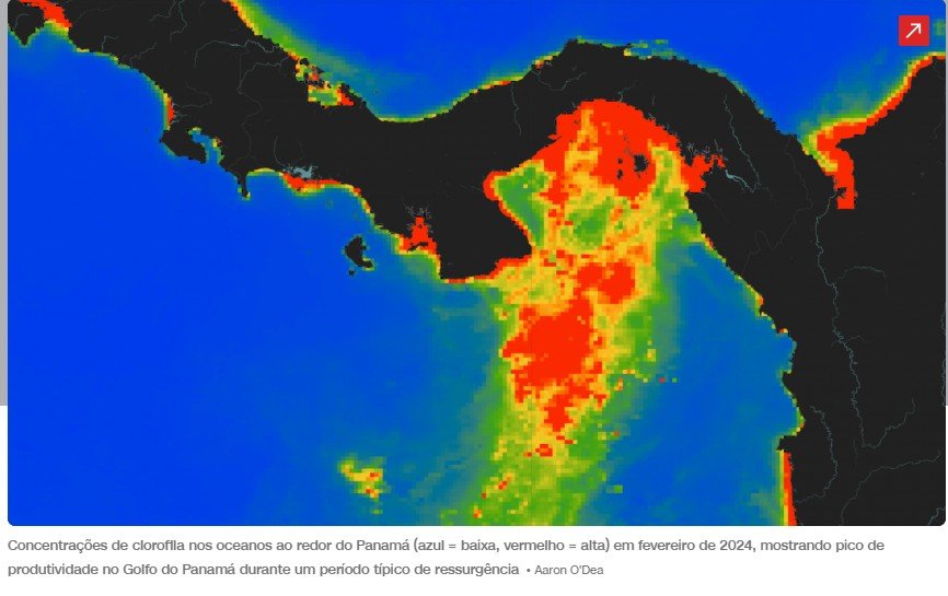 Cientistas detectam acontecimento sem precedentes no Golfo do Panamá