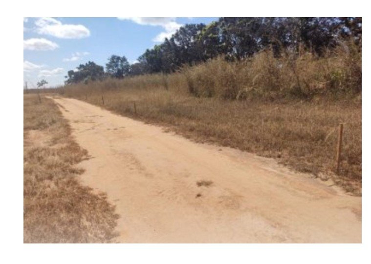 Juíza manda invasores indenizarem dono de fazenda em MT