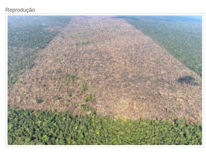 Justiça Federal e TRF1 anulam multas contra pecuarista desmatador