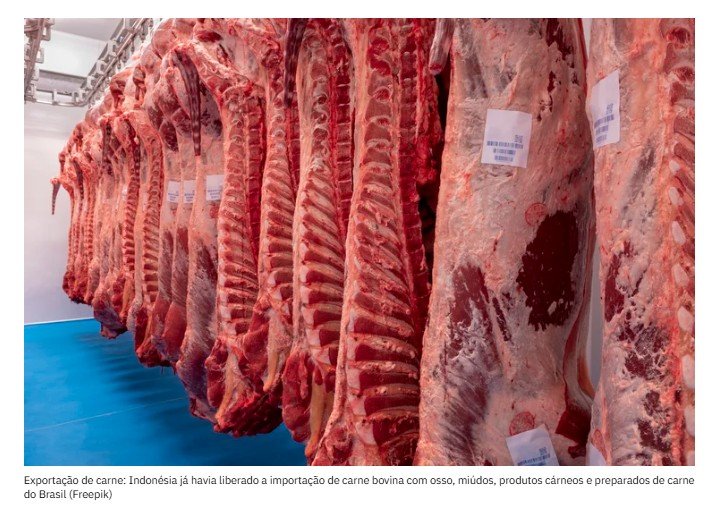 Carne bovina: mais 17 frigoríficos são liberados a exportar para quarto país mais populoso do mundo