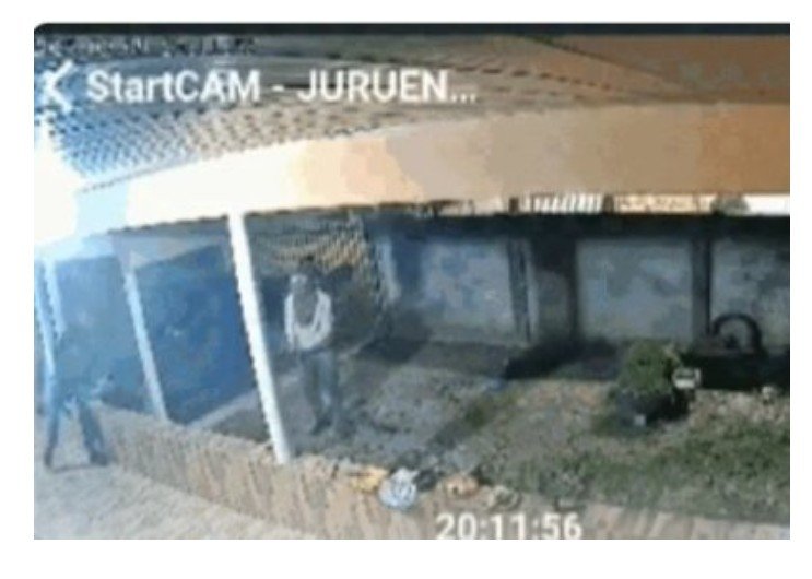 Quatro do CV são presos por matar rival durante churrasco em MT