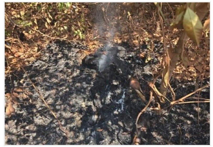 Corpo carbonizado é localizado em estrada vicinal em MT