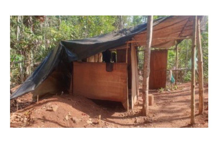 Trabalhadores expõem escravidão na 'fazenda do terror' em MT