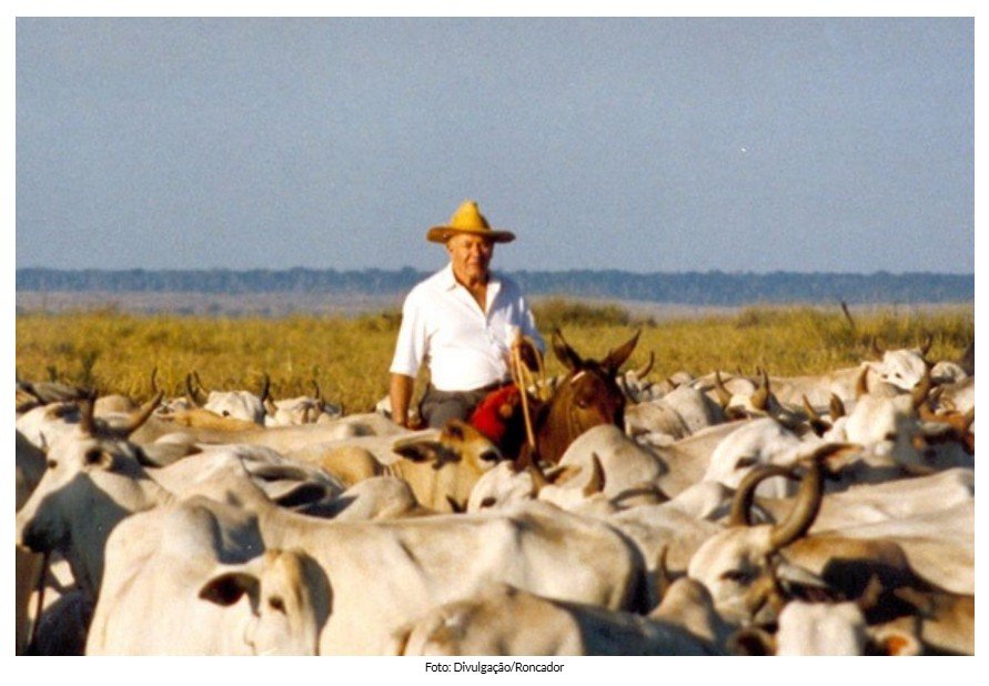 De MT para o mundo: conheça fazenda brasileira que é exemplo de sustentabilidade