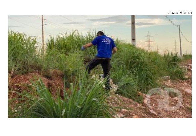 Corpo é encontrado amarrado e com perfurações na cabeça em MT