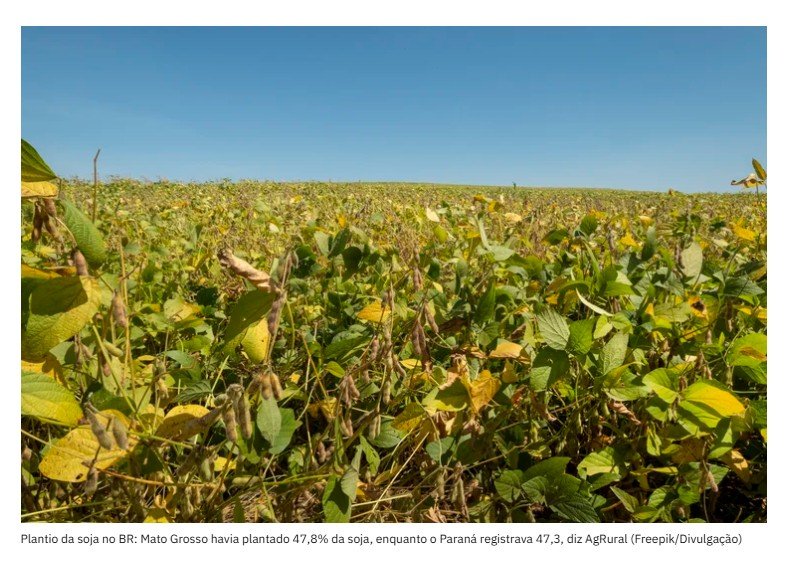 Com liderança do Mato Grosso, plantio da soja avança no Brasil — mas La Niña entra no radar