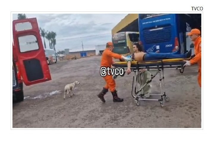 Homem é morto a tiros por faccionados do CV dentro de ônibus em MT