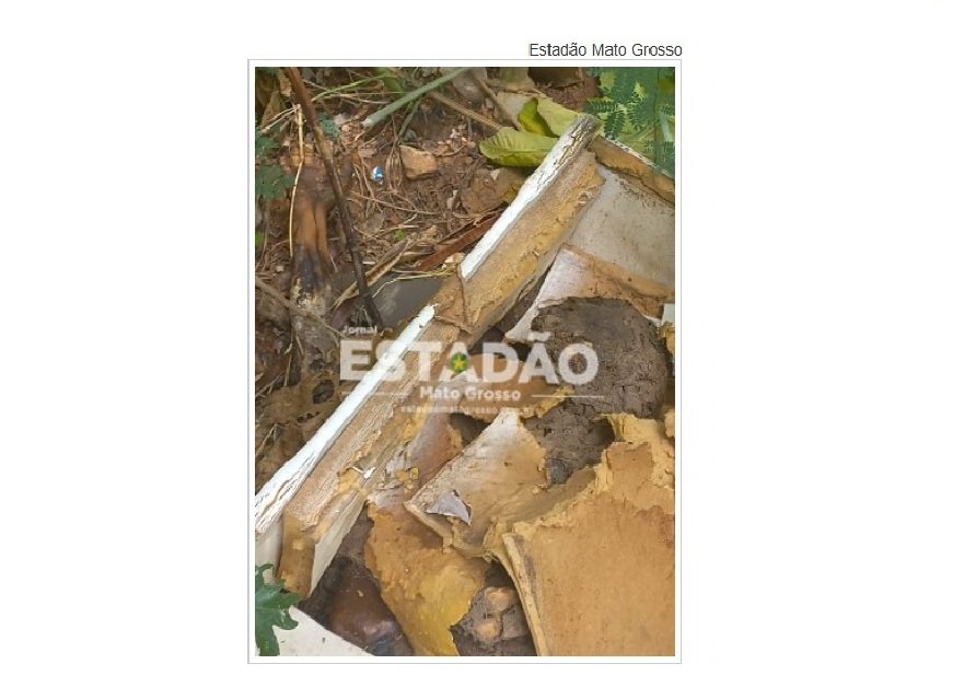 Corpo em decomposição é encontrado em matagal atrás da UPA da capital do Estado.