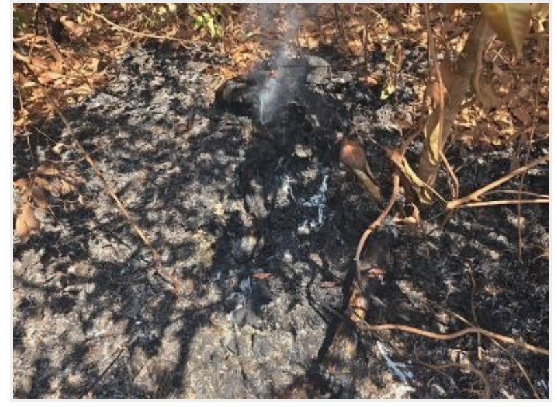 Araguaia Notícia Publicidade 728x90 Dois suspeitos de matarem e colocar fogo no corpo de fazendeiro no Araguaia são presos no Pará