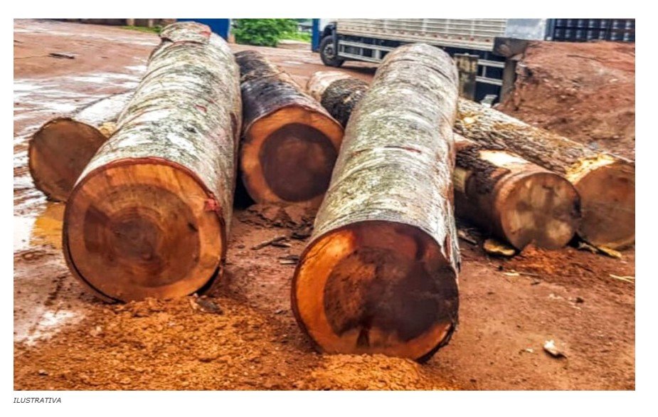 PMs são investigados por venda de madeira ilegal em Feliz Natal