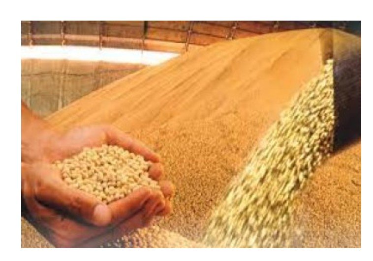 Operação mira 'gigante do agro' por sonegar R$ 35 milhões em MT