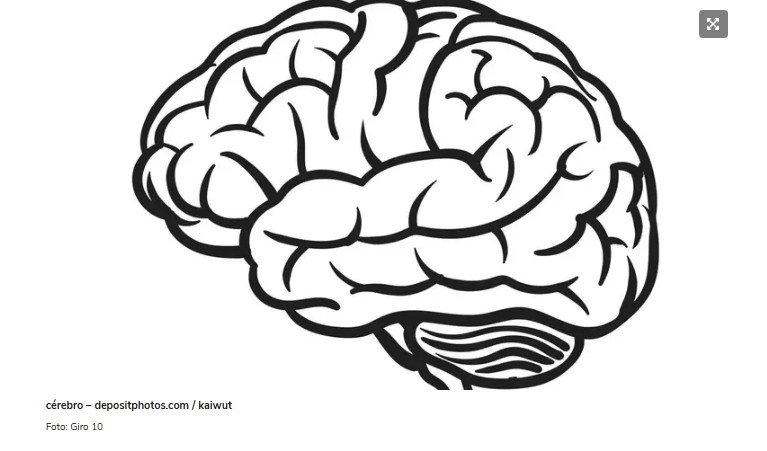Inflamação no cérebro: a peça que faltava para explicar o Alzheimer