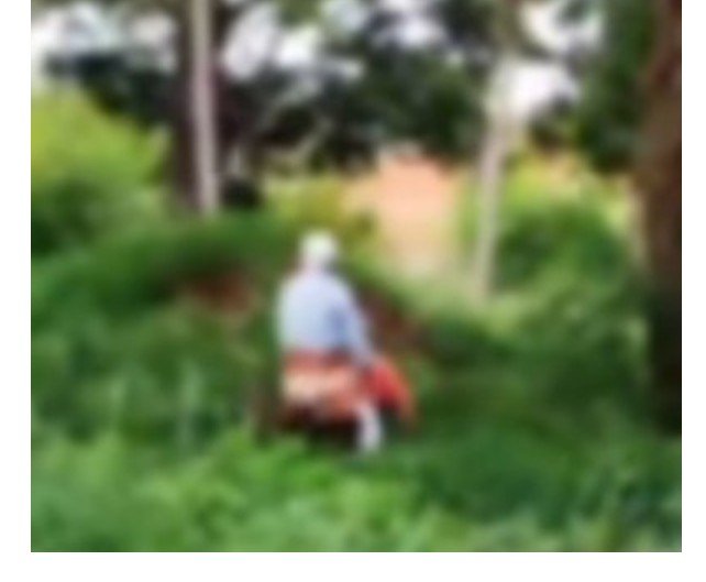 Casal de idosos é flagrado em sexo em área verde de cidade de MT.