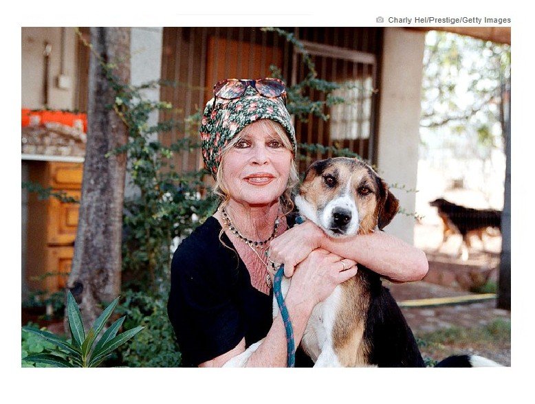 Morre Brigitte Bardot, ícone do cinema francês, aos 91 anos