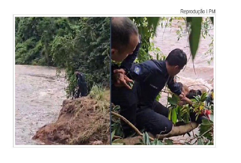 PM resgata criança que se segurava em galho para não ser levada por 'tromba d’água' em cidade do interior.
