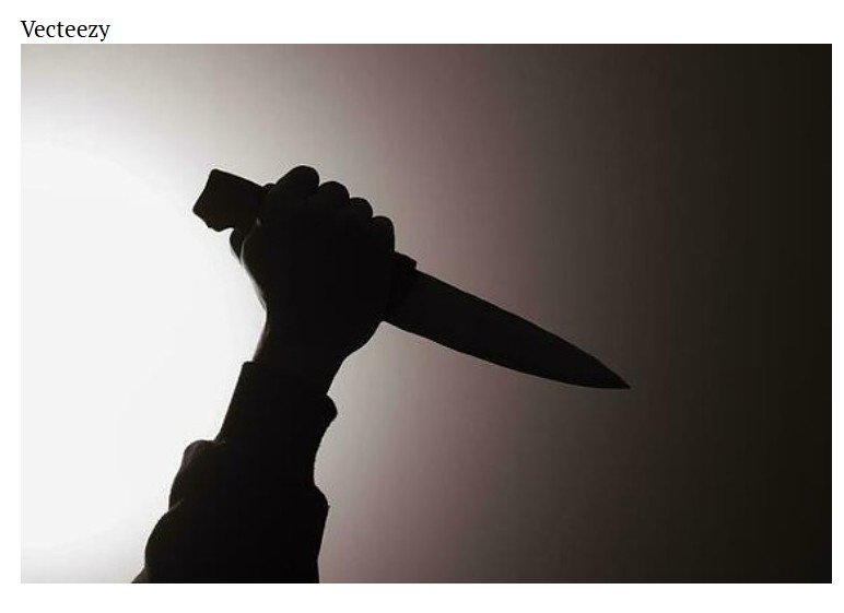Homem é preso suspeito de degolar gato e ameaçar moradores em MT