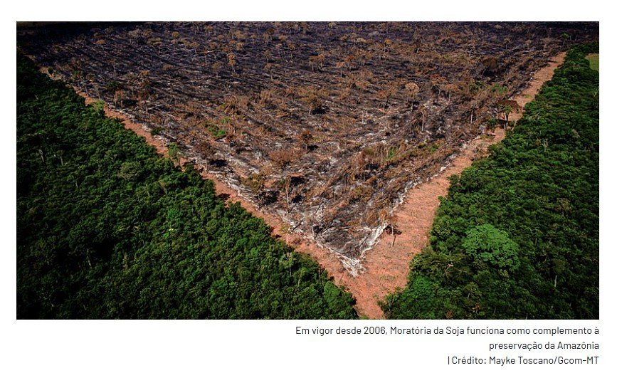 Gigantes do agronegócio abandonam a Moratória da Soja e ampliam risco de desmatamento na Amazônia