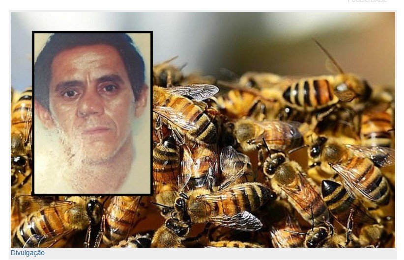 Trabalhador morre após ser atacado por abelhas em fazenda de cidade de MT.