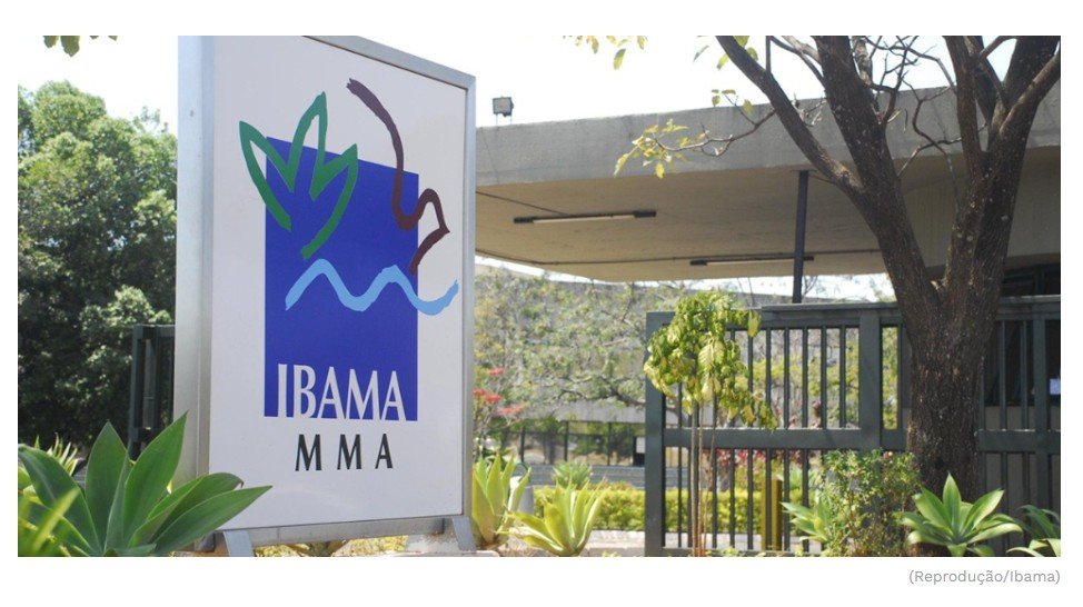 Lista do Ibama veta 5 espécies de animais de serem criadas em casa