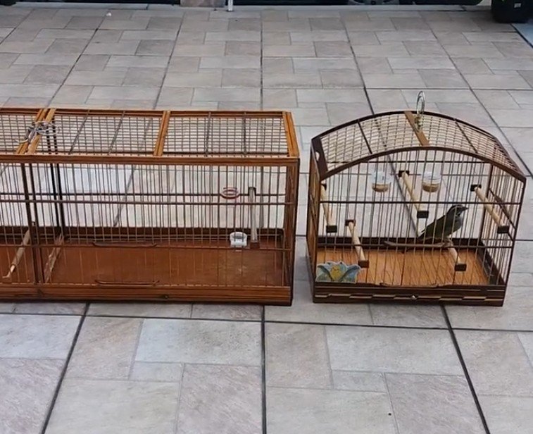 Em Colíder PM prende em flagrante passarinheiros com gaiolas e aves silvestres
