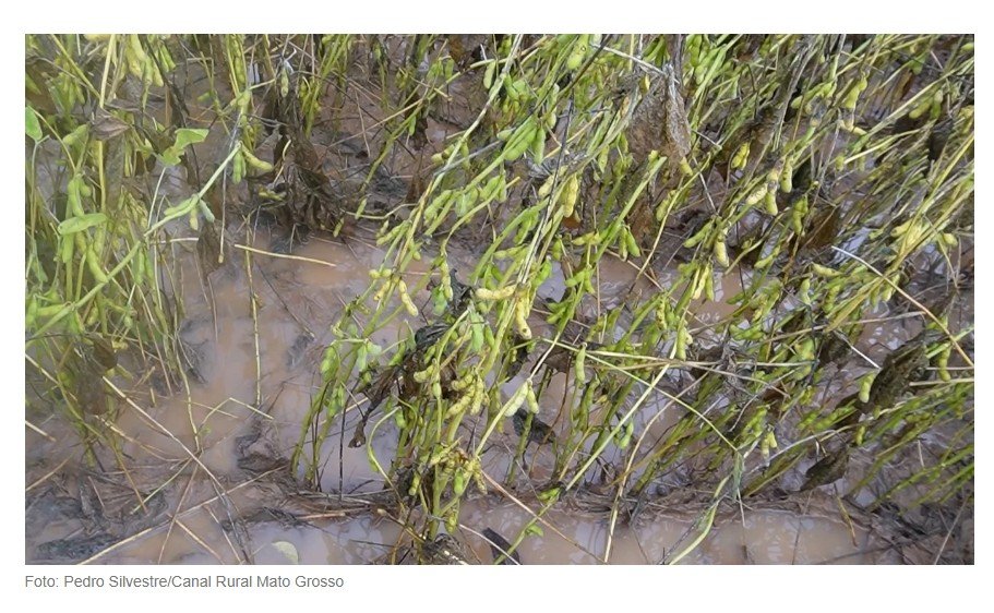 Com colheita e plantio atrasados, Mato Grosso tem 17 municípios em situação de emergência por chuvas