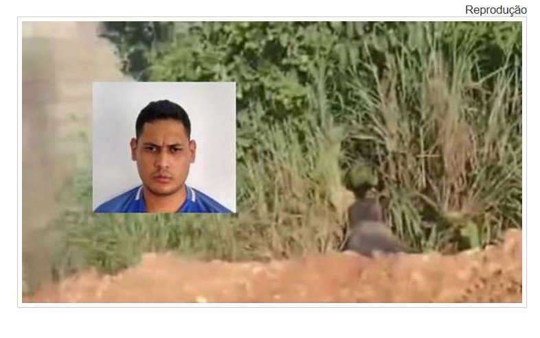 Corpo de homem é encontrado com marcas de tiros na cabeça em matagal