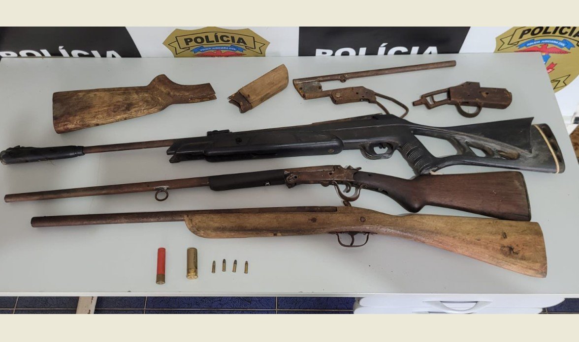 Homem é preso em Colíder após matar cachorros com chave inglesa e manter, na sua residência a PJC descobriu oficina artesanal de armas de fogo