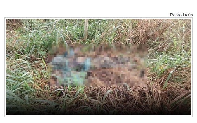 Corpo é encontrado às margens da MT-235 em cidade de MT e pode ser de jovem desaparecido