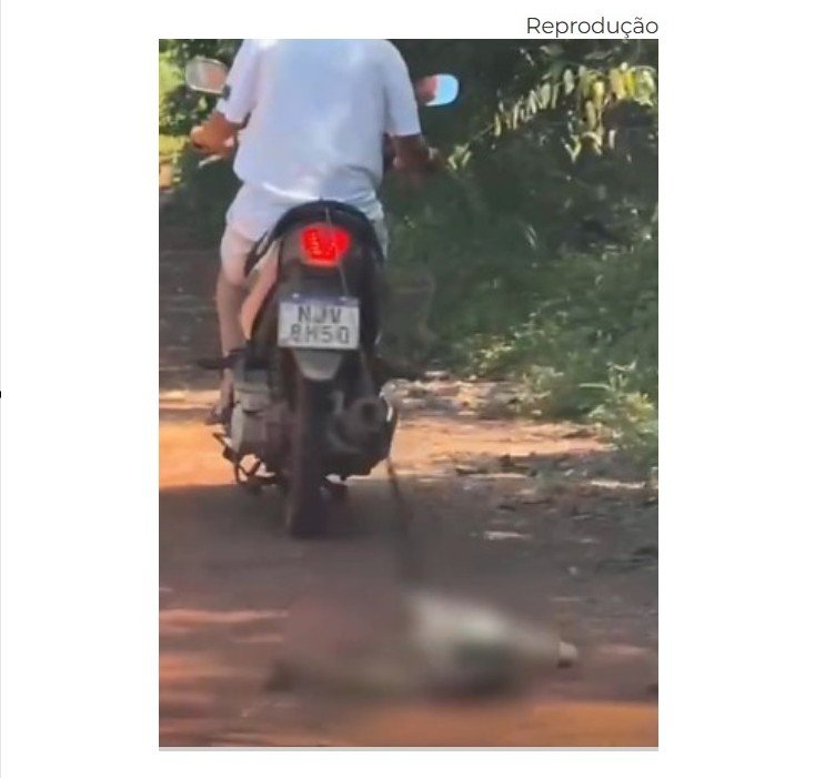 Vídeo mostra cachorro sendo arrastado por moto em cidae de MT.
