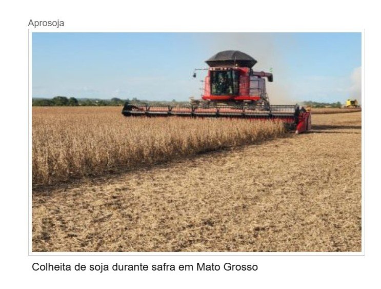 MT consolida safra 25/26 com produção recorde e mantém liderança