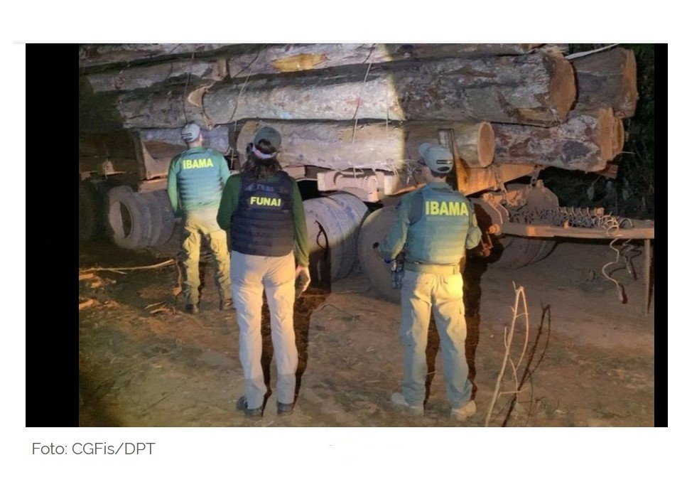 Funai, Ibama e Polícia Civil realizam fiscalização contra exploração ilegal de madeira no Território Indígena do Xingu