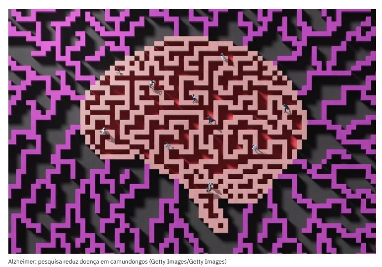 Cientistas revertem Alzheimer em camundongos em apenas 1h