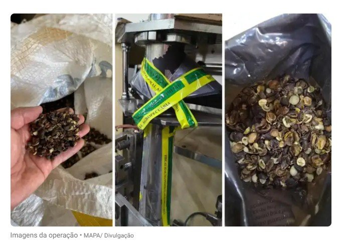 Café falsificado: megaoperação fecha 19 fábricas e apreende 82 toneladas de produto