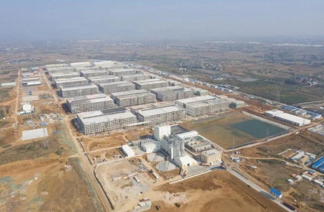 Chinesa dona da maior granja de suínos do mundo prepara entrada no Brasil e mira Mato Grosso e Goiás