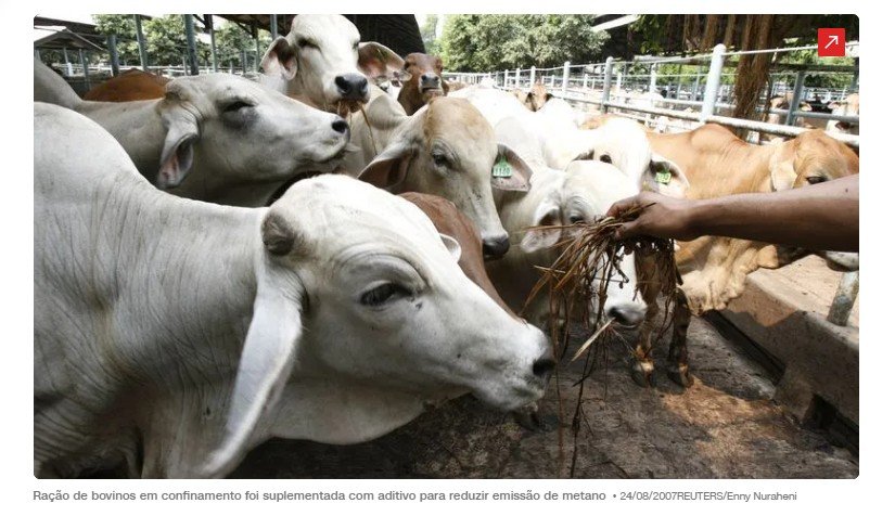O custo invisível dos antibióticos pode gerar conta bilionária para o agro