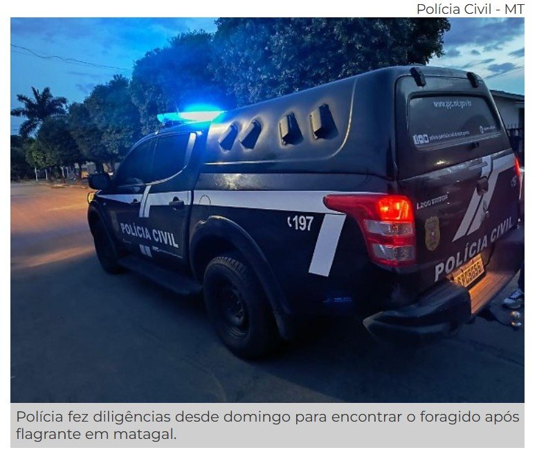 Pedófilo atrai sobrinha de 5 anos para matagal e a estupra