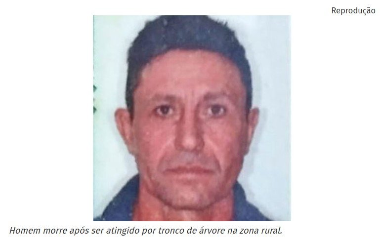 Homem morre após ser atingido por tronco de árvore na zona rural