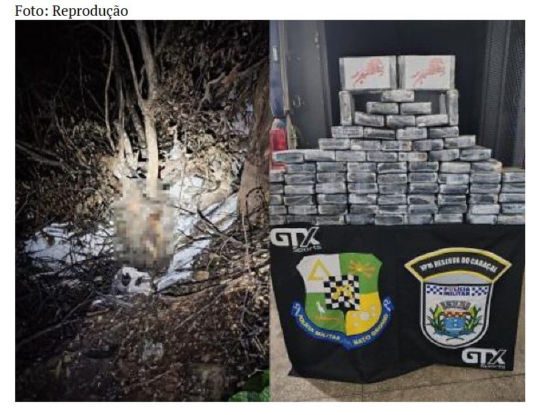 Avião cai em zona rural e são encontradas tabletes de cocaína e dois corpos em decomposição