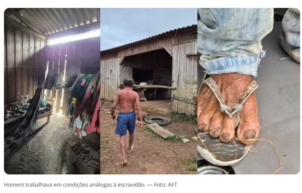 Trabalhador resgatado de situação análoga à escravidão no Pará dividia alojamento com porcos e bois