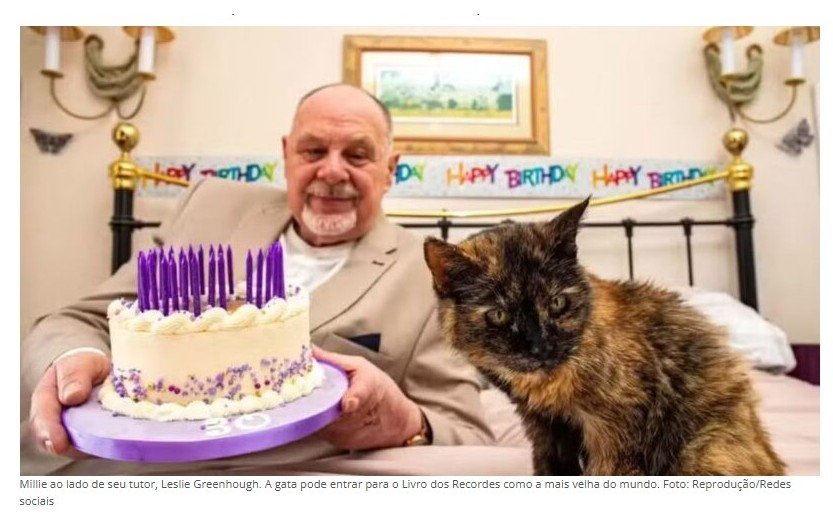 Gata de 146 anos humanos busca título de mais velha do mundo no Livro dos Recordes